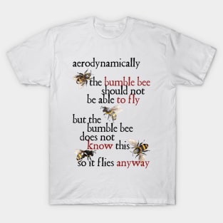 The Bumble Bee - Aerodynamics T-Shirt